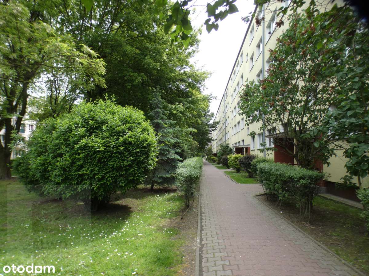 Wygodne  4 pokoje, 58 m2  na Niedźwiadku-18