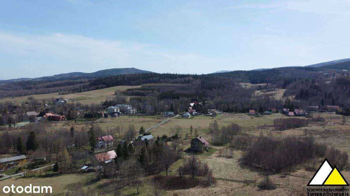 ponad 10 000m2 - Pełny obrazek: 2/17