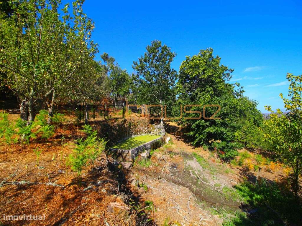 Quinta de 2ha com vista panorâmica - Freigil-18