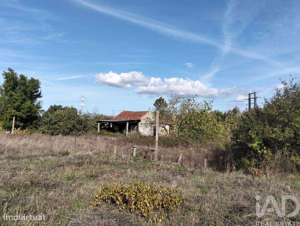 Casa de Campo T2 em Nossa Senhora de Fátima de 52 m2 - Grande imagem: 4/24