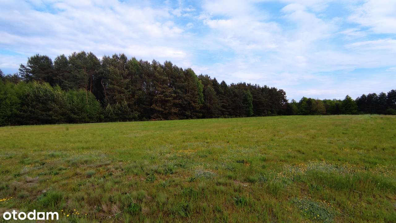 Działka na odludziu z możliwością zabudowy w pobliżu rzeki. - Pełny obrazek: 4/10