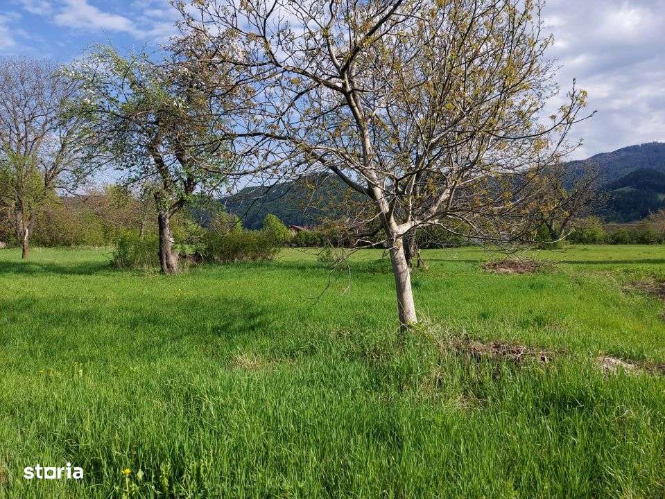 Teren splendid Vaduri cu utilitati si vecini de calitate - Imagine principală: 4/4