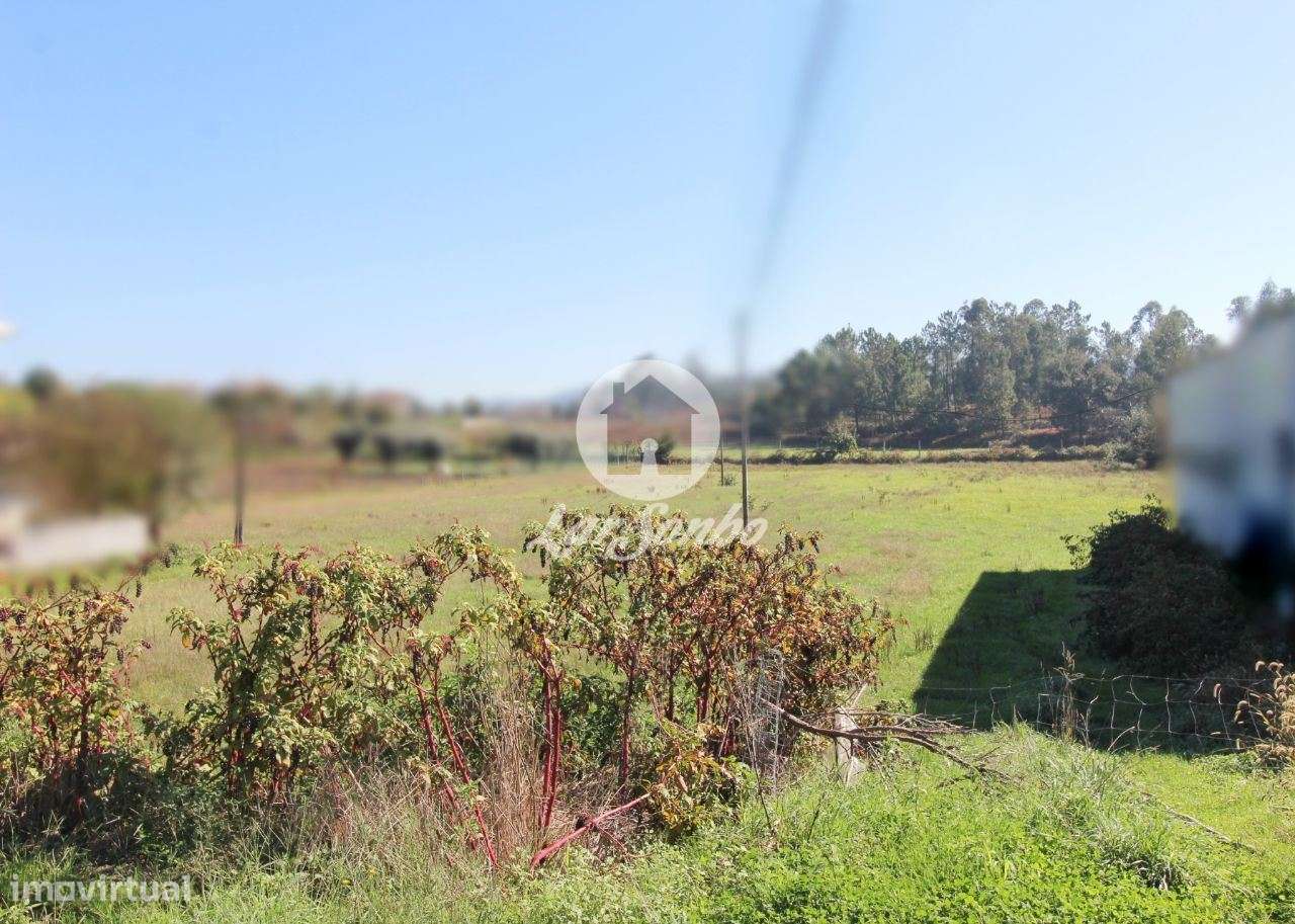 Terreno plano com 6500m2 - Grande imagem: 4/27