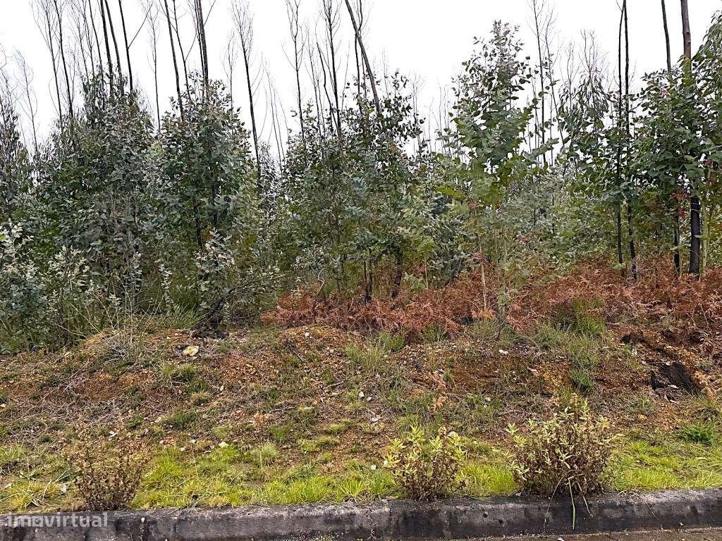 Terreno com 3 frentes para venda Albergaria - a - Velha - Grande imagem: 3/21
