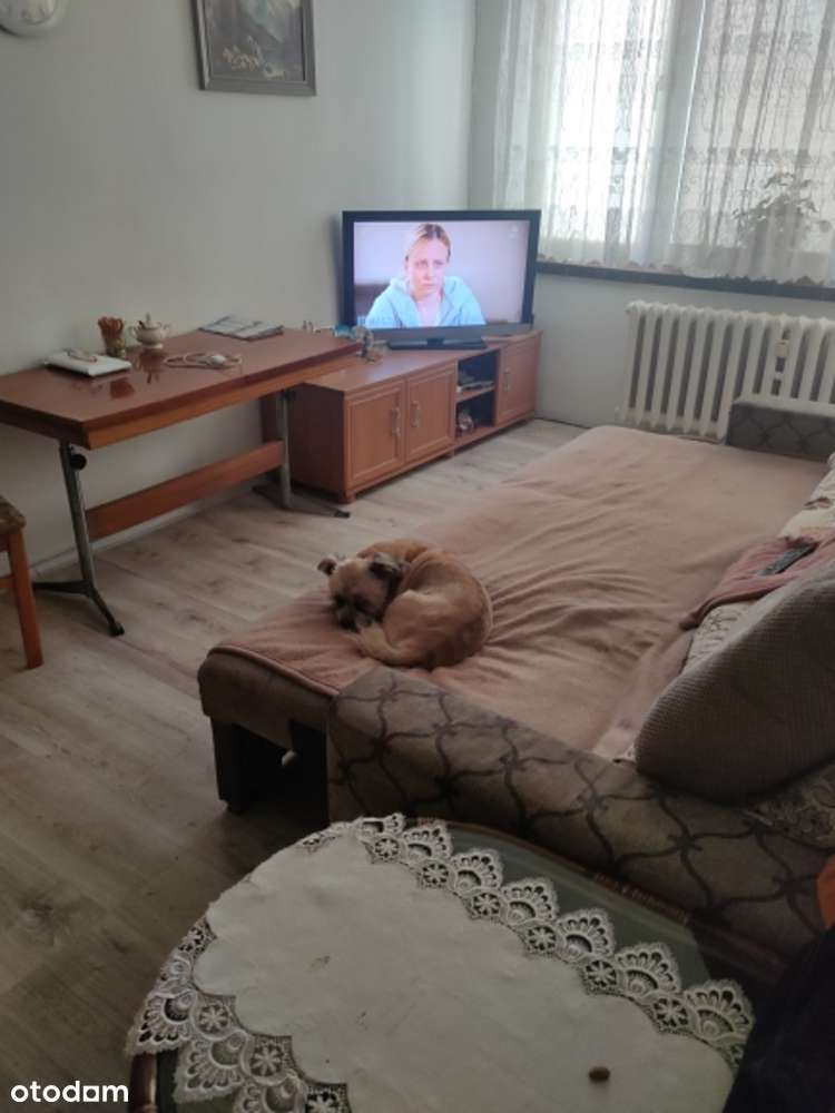 Wodzisław Śl. 2pokoje-0