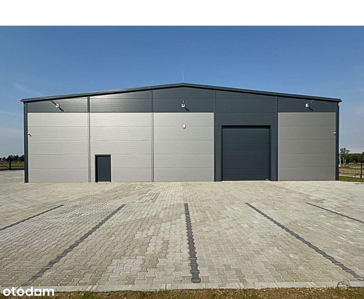 Nowa hala - 1100m2 lub 550m2 - węzeł Miszewo - Pełny obrazek: 4/9