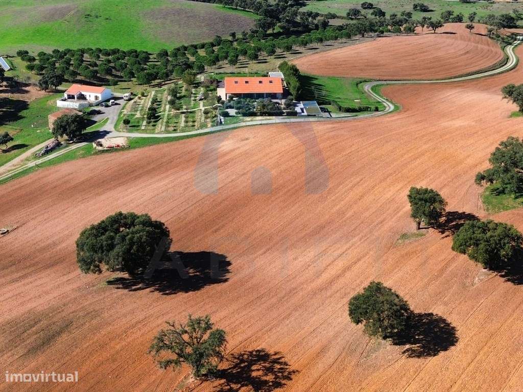 Monte do Bandarro Novo - Alentejo - Grande imagem: 4/60