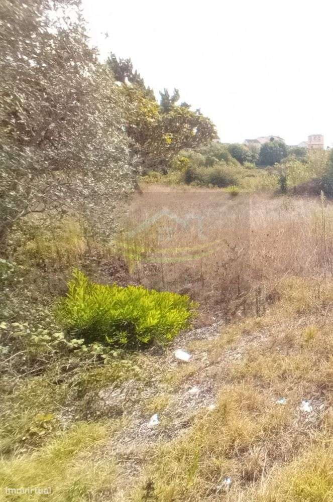 Terreno para construção - Grande imagem: 5/11