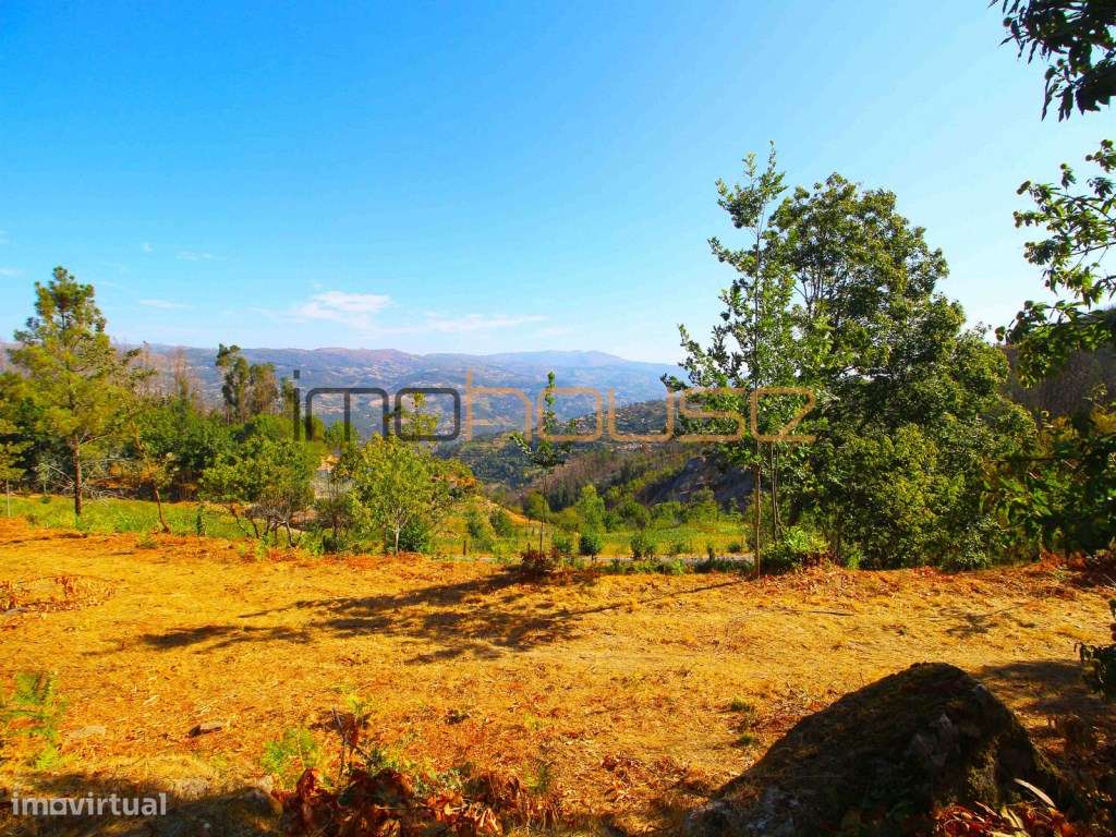 Quinta de 2ha com vista panorâmica - Freigil-9