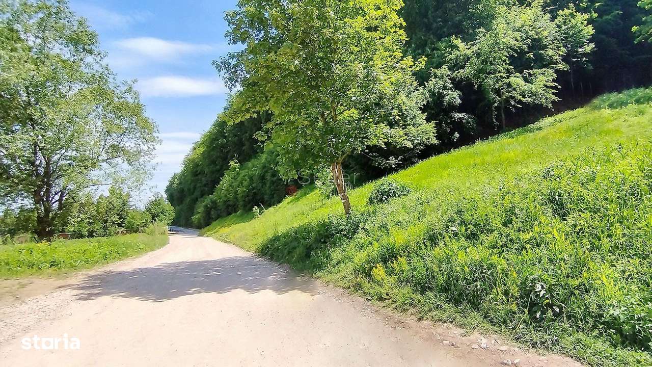 Teren Intravilan - Imagine principală: 2/8