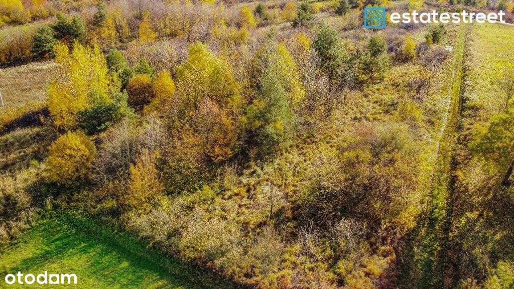 Działka widokowa|27a|Pruchnik - Pełny obrazek: 4/5