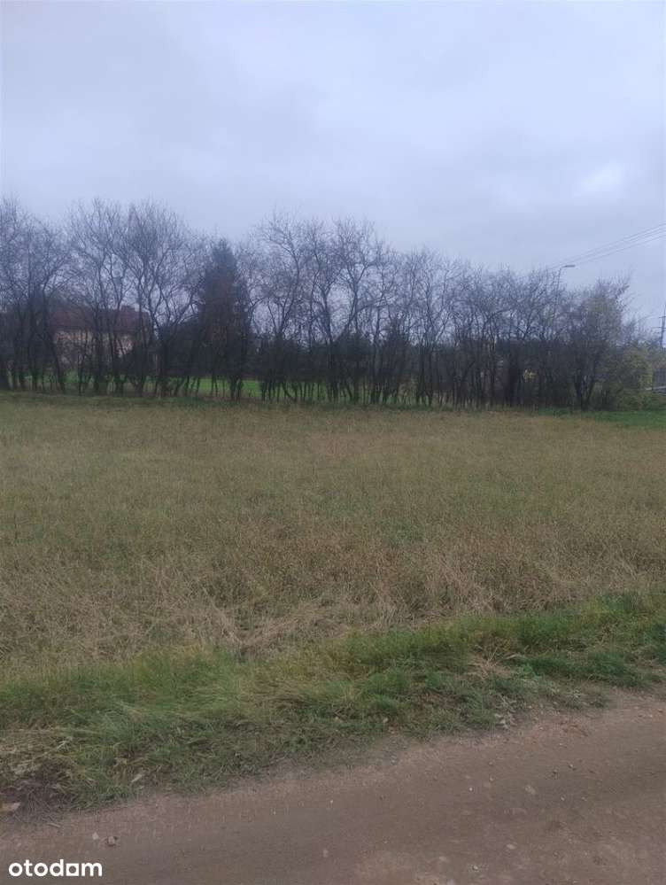 Działka Morasko - Pełny obrazek: 1/5