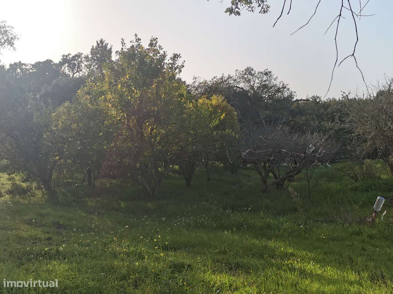 Moradia T2  Lamarosa de Coruche-15