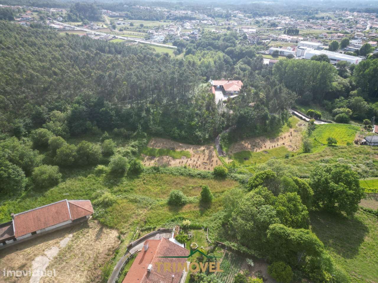 Terreno Rústico  Venda em Pinheiro da Bemposta, Travanca e Palmaz,Oliv-3