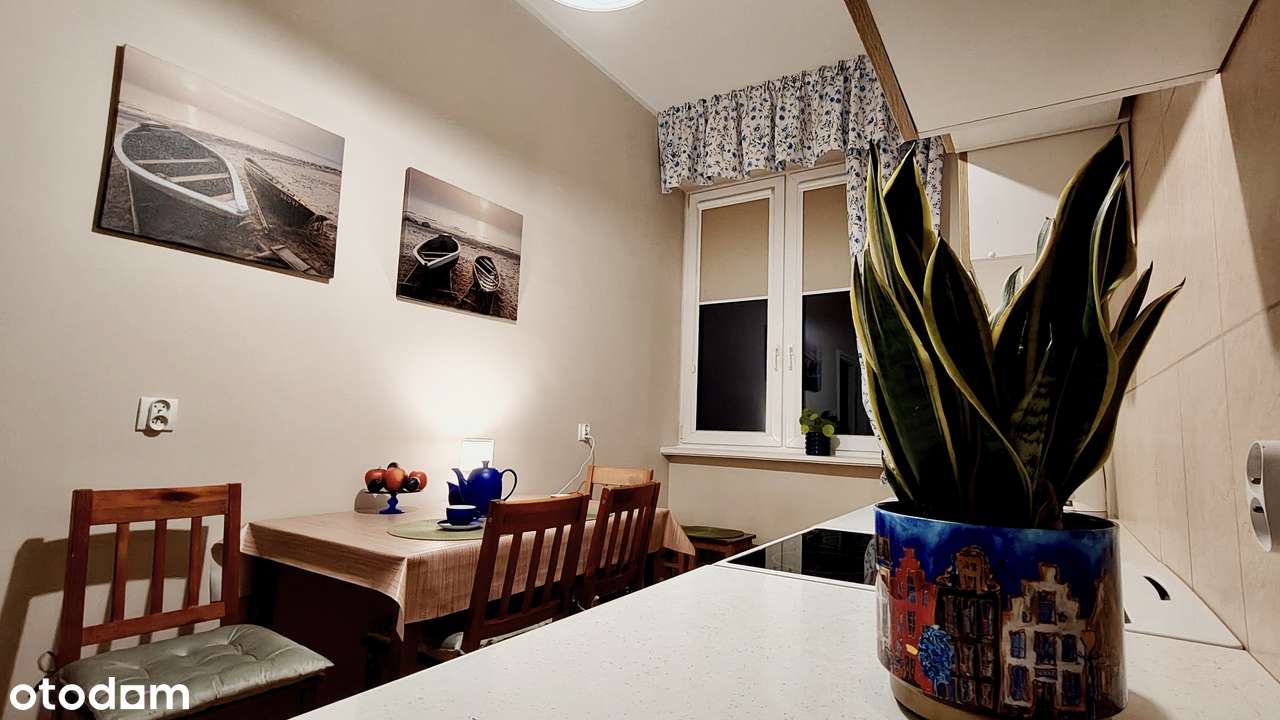 2 pokoje w sercu Gdyni -na rok - Pełny obrazek: 4/10