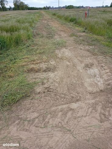 działka Tarnowo Podgórne bliska okolica