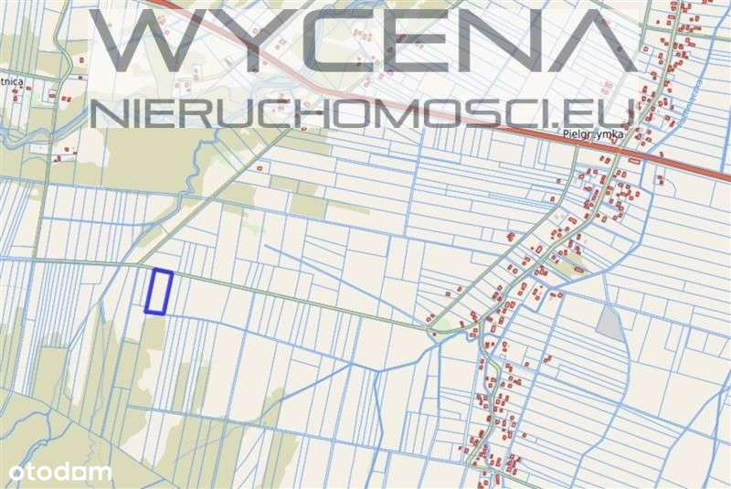 Działki rolne Pielgrzymka, gmina Osiek Jasielski - Pełny obrazek: 5/5