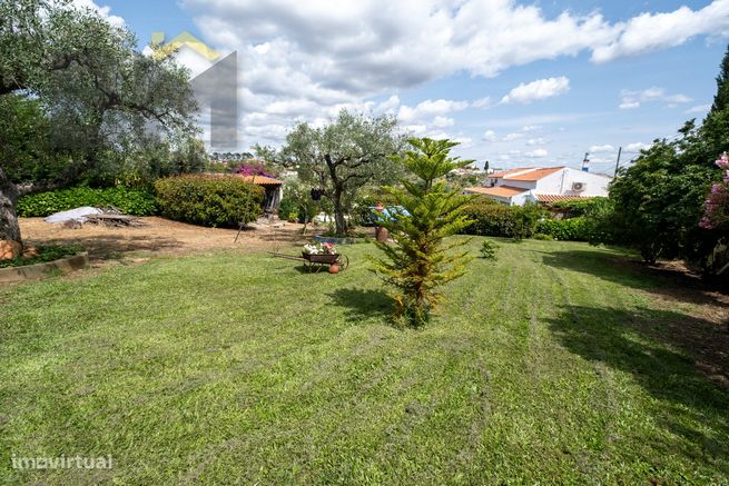 Moradia Isolada T3 Venda em Benquerenças,Castelo Branco-27