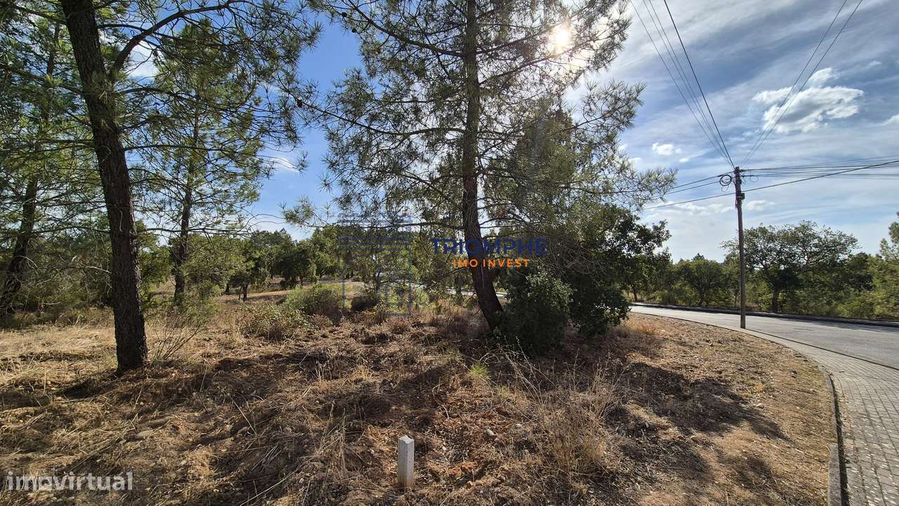 Terreno Urbano - Constância - Grande imagem: 2/5