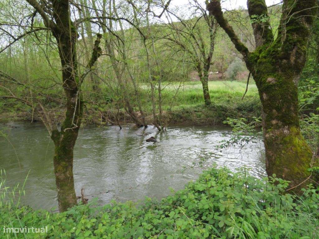 0003 - Grande imagem: 5/7