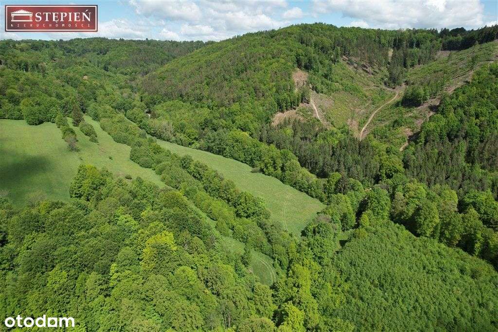 Działka rolna w Pilchowicach - Pełny obrazek: 5/17