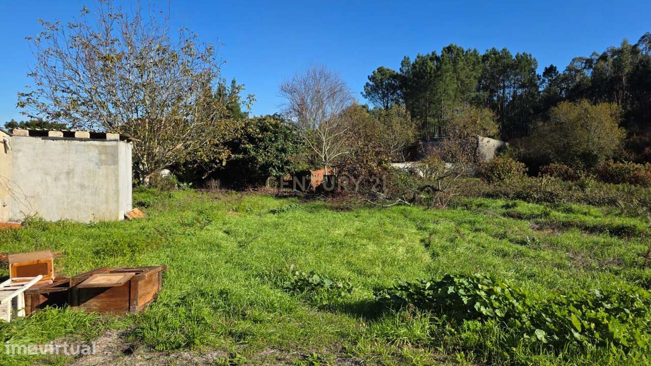 Casa Antiga em Albergaria dos Doze, Pombal-17