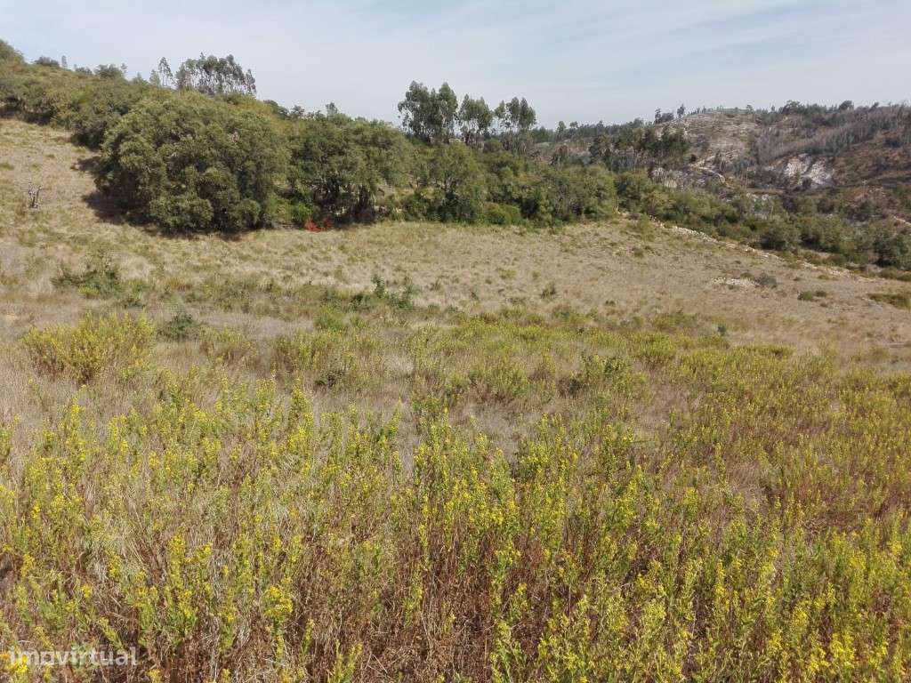 Terreno em Lousa - Grande imagem: 2/12
