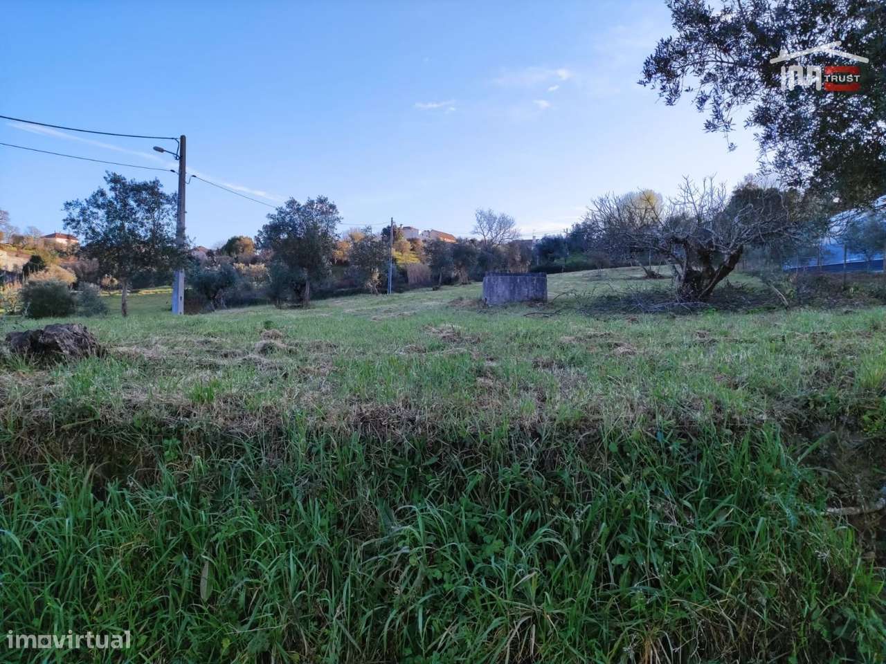 Terreno rústico com olival, poço e possibilidade de instalar Estufa... - Grande imagem: 5/31