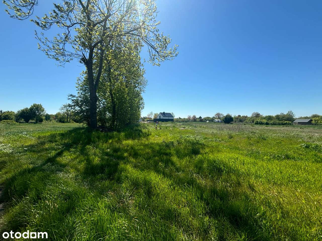 Działki z Miejscowym Planem i świetnej lokalizacji - Pełny obrazek: 5/5