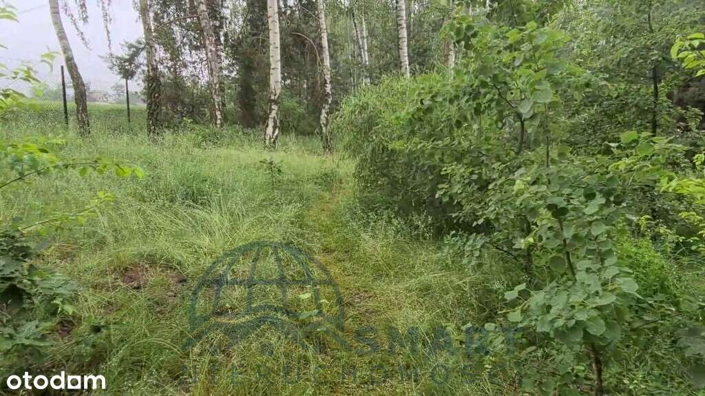 Urocza działka za miastem, Tuszyn, Wodzin-17