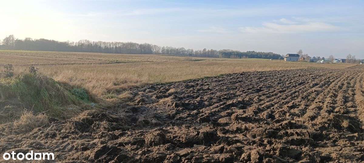 3 działki budowlane w Gowinie, dobra cena! - Pełny obrazek: 5/11