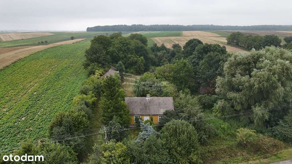 Gospodarstwo rolne  - dom, pole i sad 0,88 ha - Pełny obrazek: 5/9