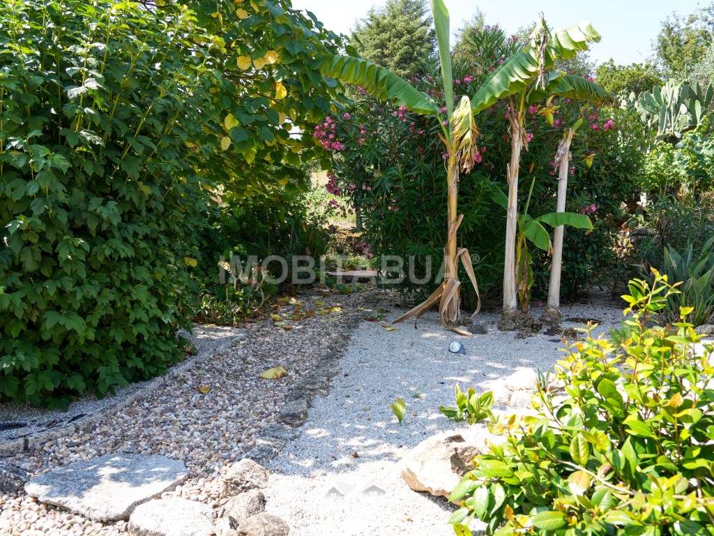 Moradia T2 com paisagens deslumbrantes-21