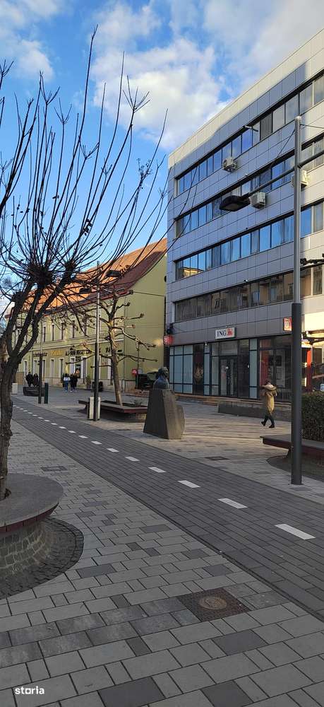 Spațiu Comercial de Închiriat – 80 mp – Central – Str. Corneliu Coposu - Imagine principală: 3/8