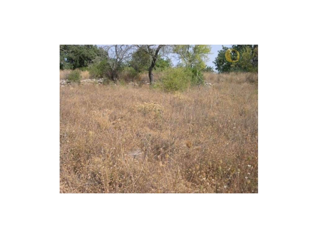 Terreno Rústico Venda Faro - Grande imagem: 4/4