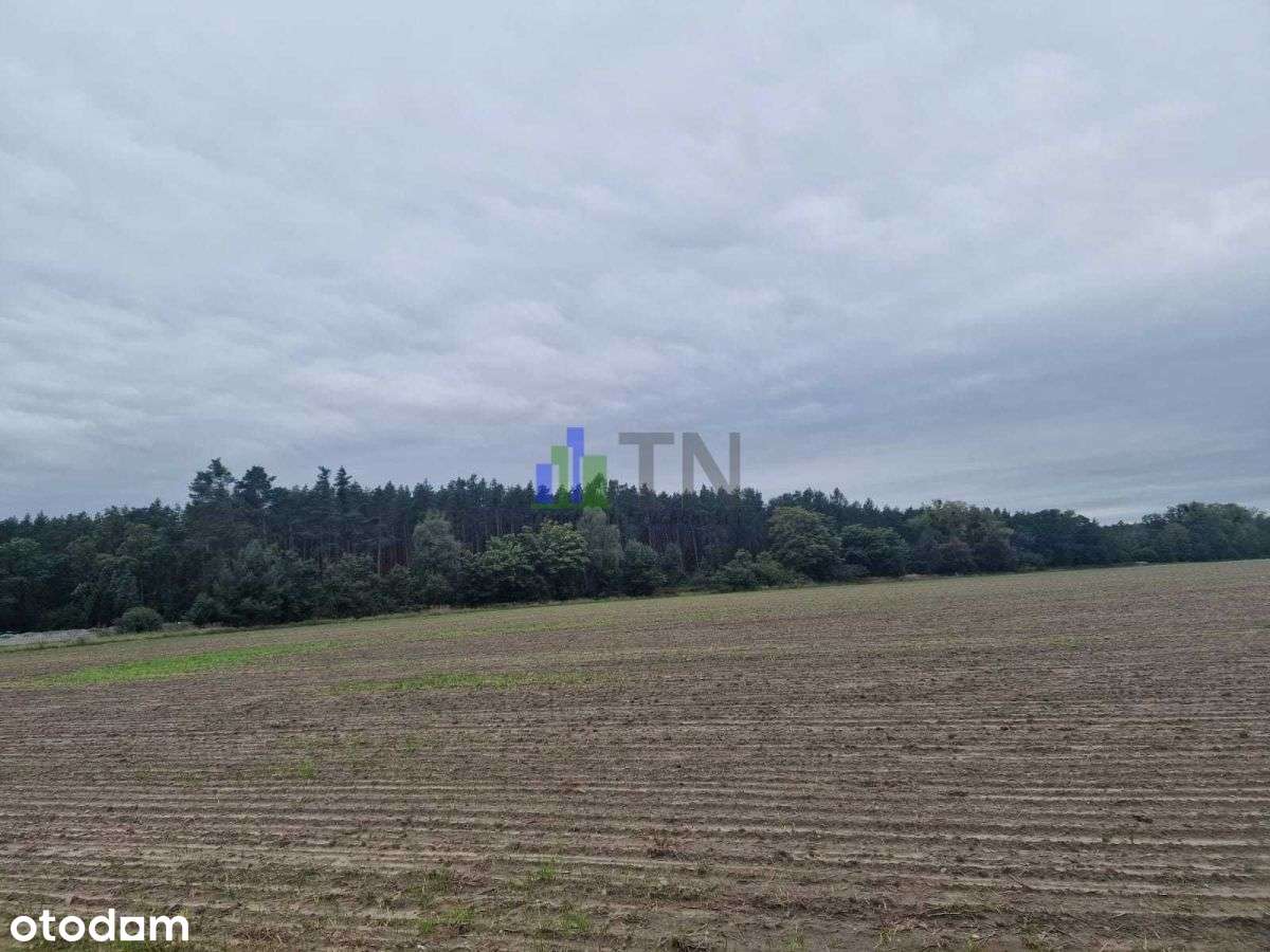 Działka, 1 000 m², Nowy Dwór - Pełny obrazek: 5/11