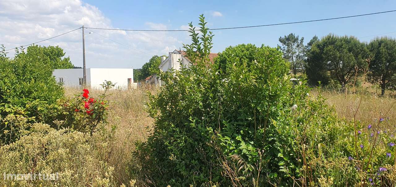 IMPERDÍVEL  Quinta em Foros do Carrapatal, Canha Montijo 51.000m2-6