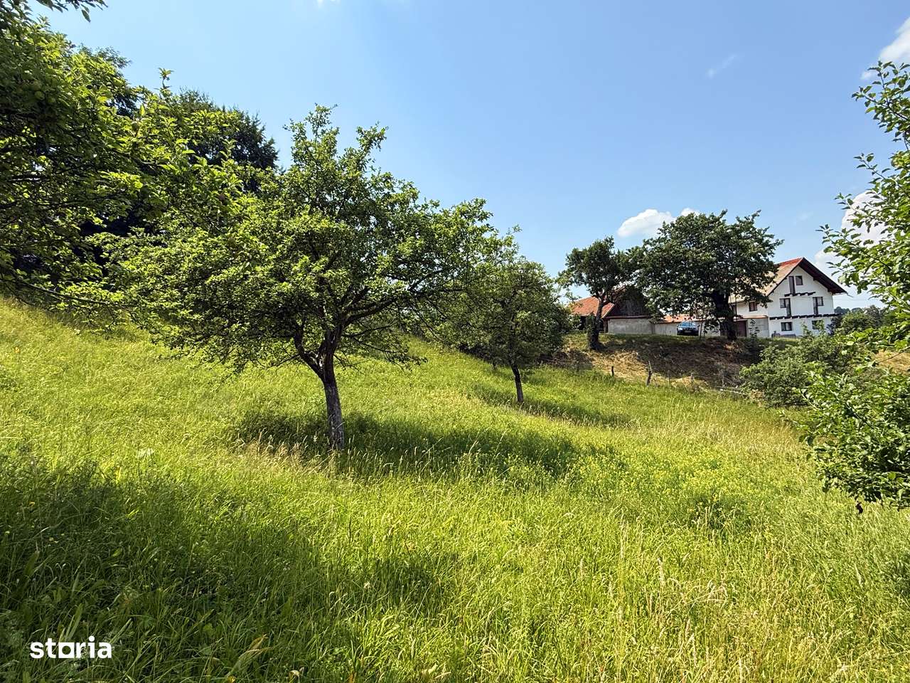 Teren intravilan 2330 mp, comuna Bran, sat Sohodol-0