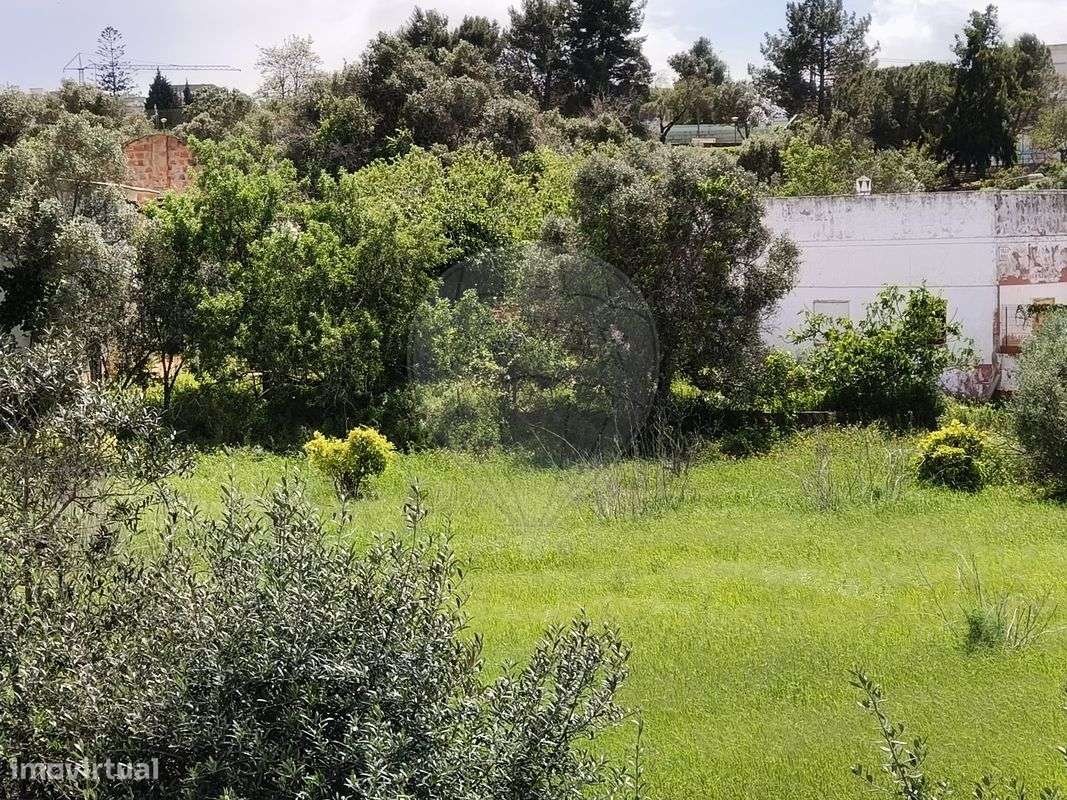 Quinta  para venda - Grande imagem: 4/23