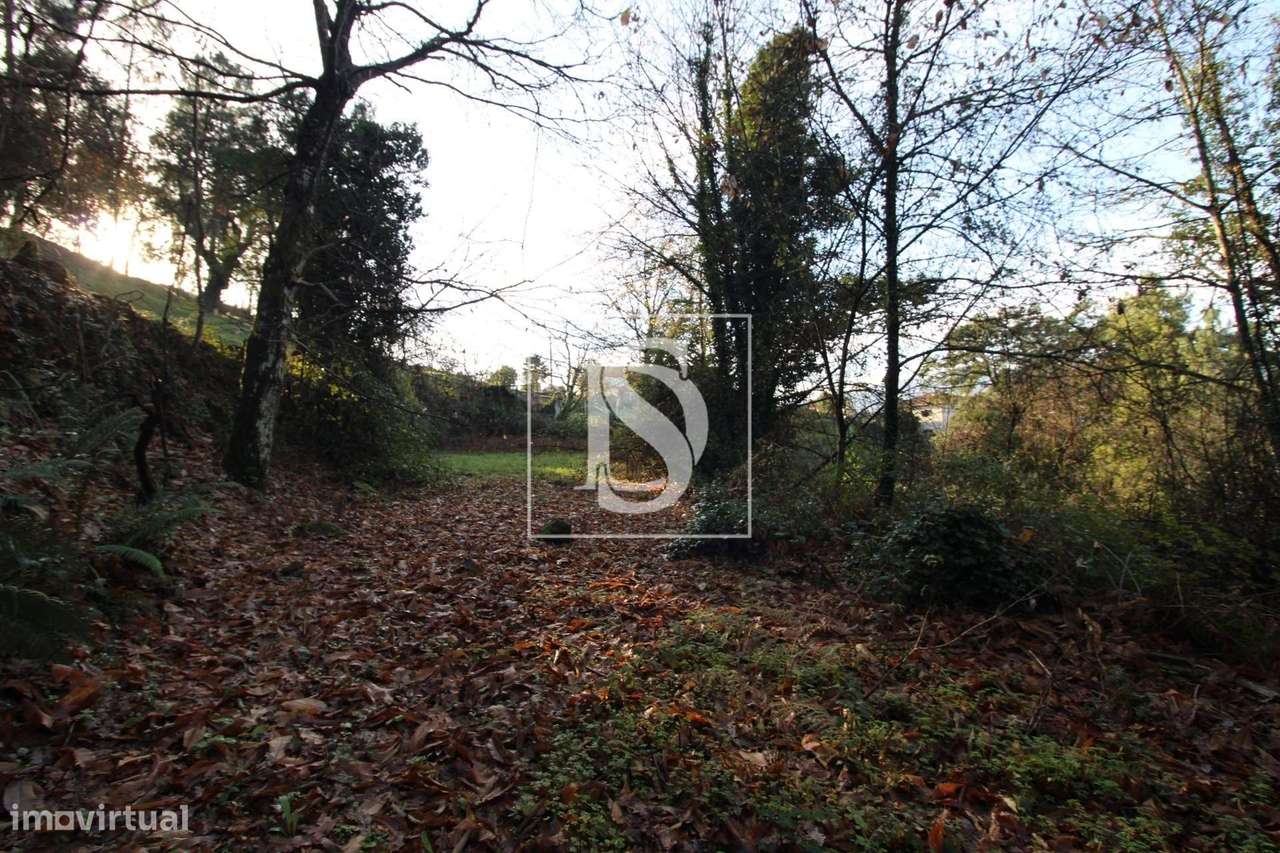 Terreno em Rebordelo - Grande imagem: 3/4