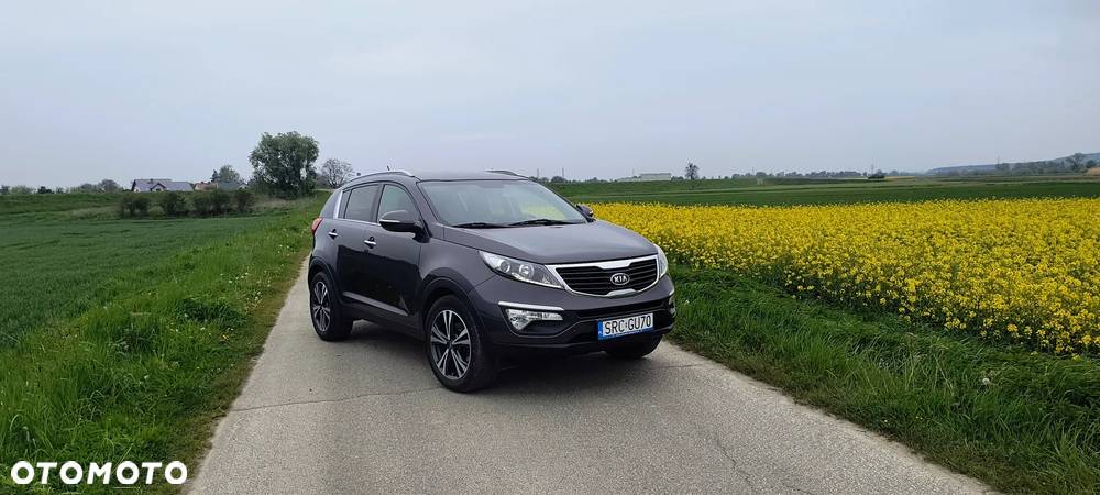 Kia Sportage - 1