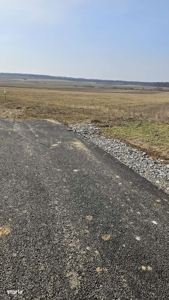 Teren Baile Felix  Case si Servicii 529 mp front 22,92 **INVESTITIE** - Imagine principală: 4/8