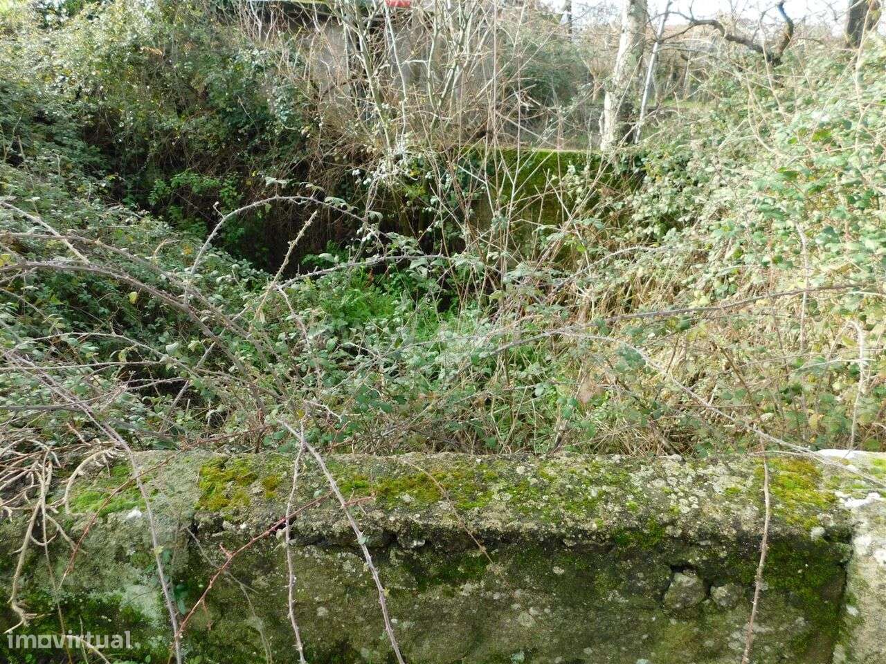 Terreno / Gouveia, Gouveia - Grande imagem: 4/16