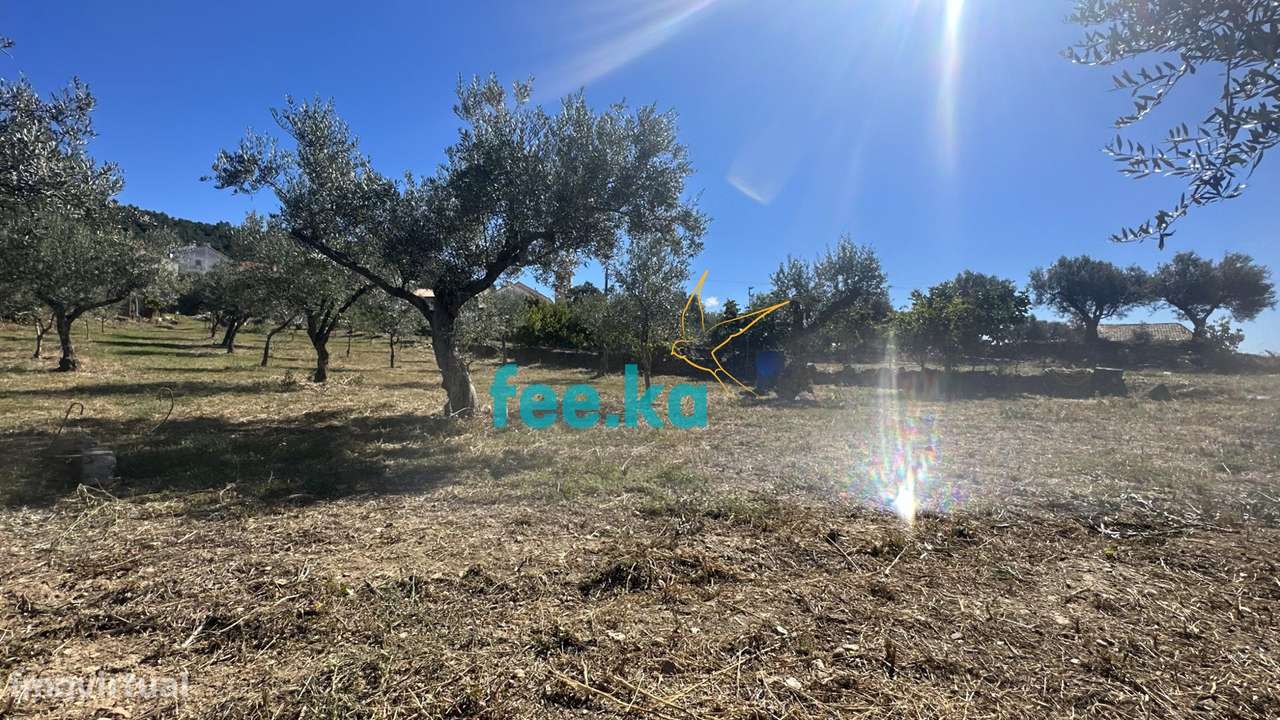 Quintinha em Monfortinho-9