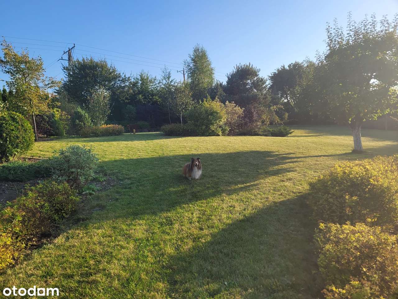 Na sprzedaż piękna, zadbana działka budowlana położona w Olkuszu. - Pełny obrazek: 4/6