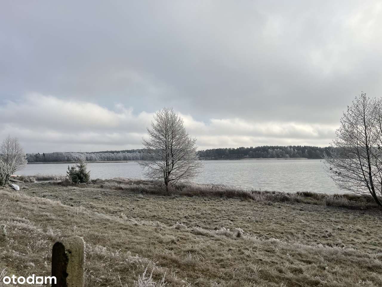 Działka z linią brzegową / Sudomie / jezioro / Kaszuby  sudomie - Pełny obrazek: 5/9