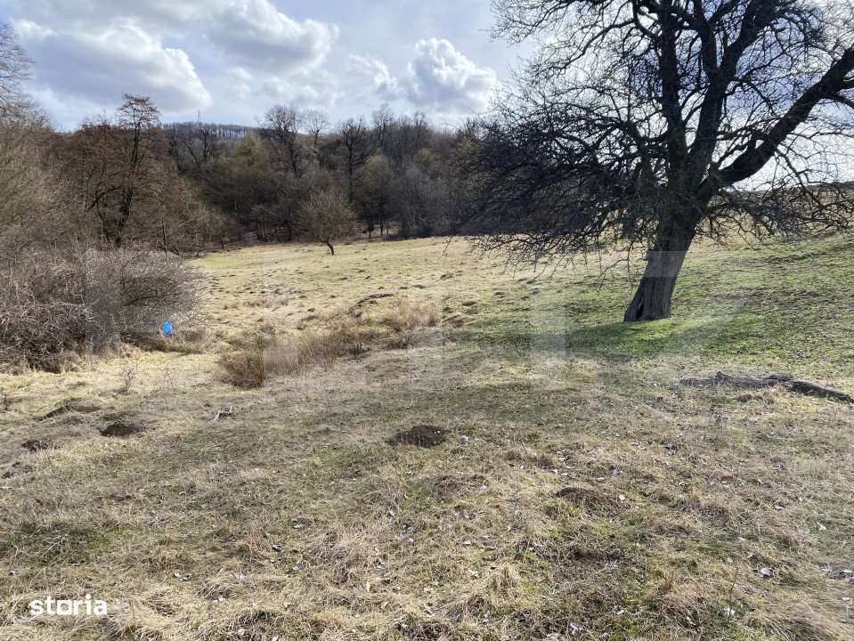 Teren extravilan in suprafata de 7500 mp la poalele Mesesului - Imagine principală: 4/8