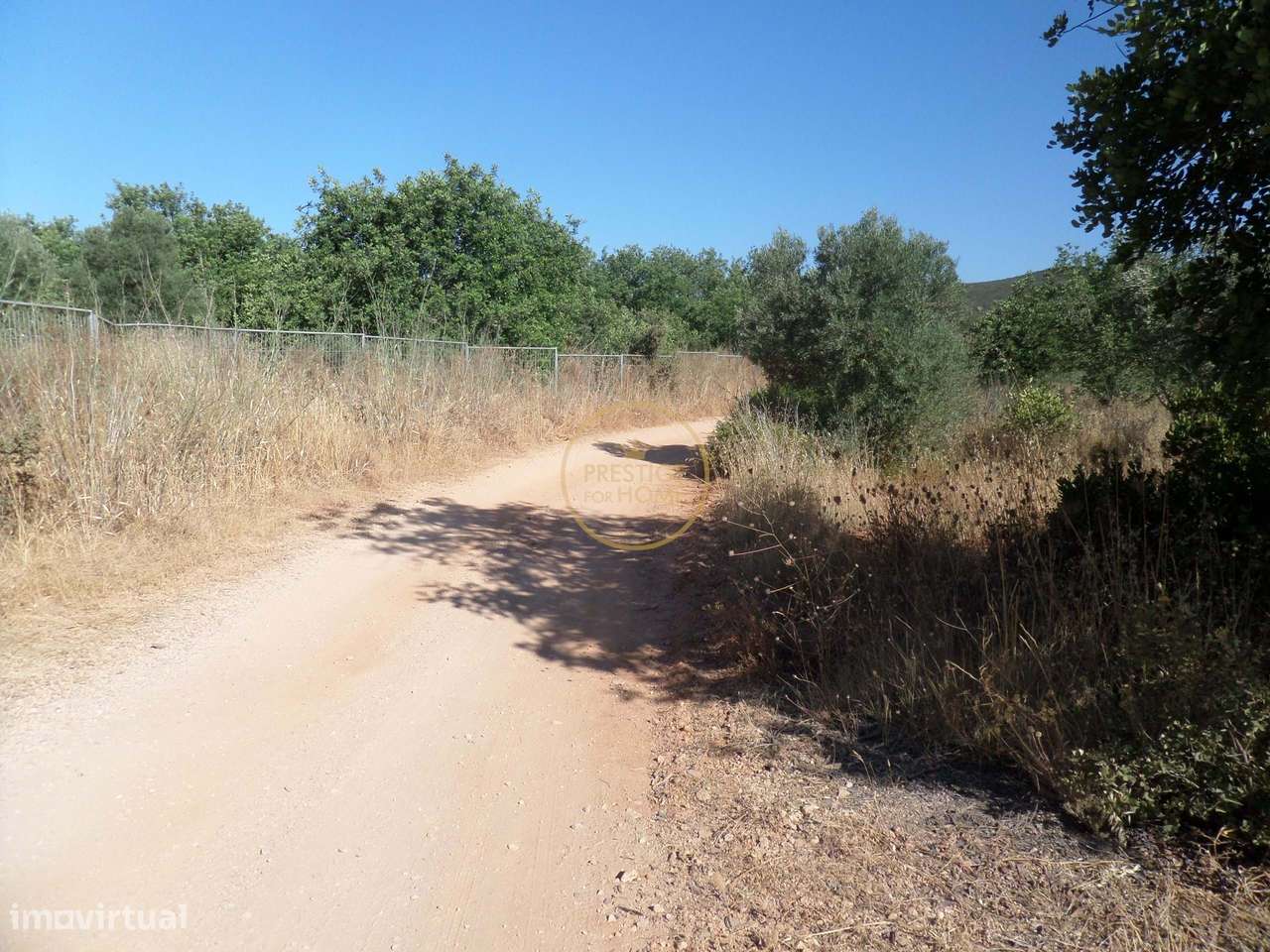 Terreno com Ruína para Recuperar – Próximo de Loulé - Grande imagem: 5/26