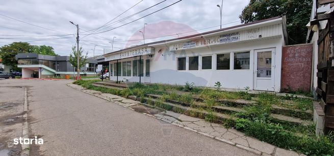Spațiu comercial 56mp+56mp teresa, teren 200mp,  strada Bucegi 113Bis-0