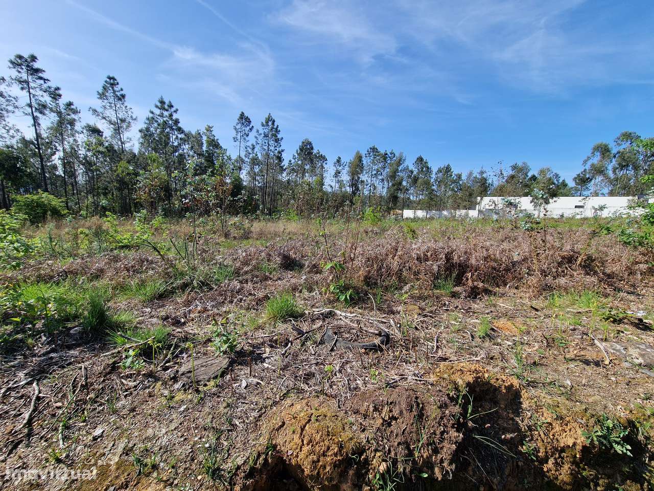 Fantástico Terreno com viabilidade de construção de 6 moradias - Grande imagem: 4/7